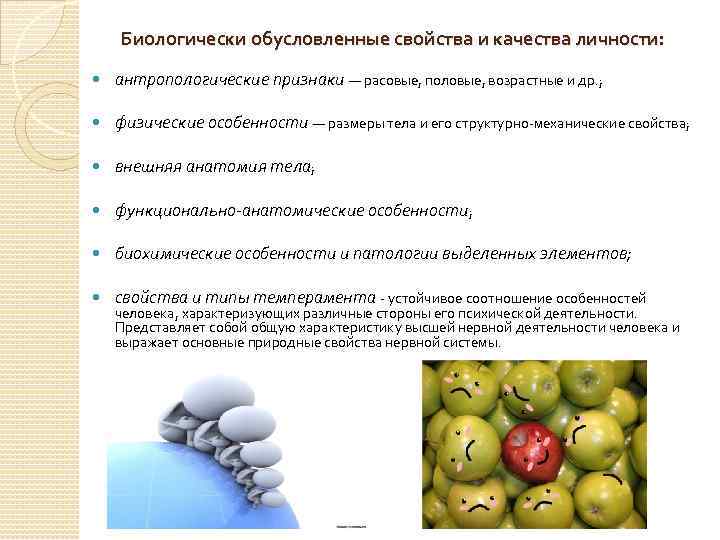 Биологически обусловленные свойства и качества личности: антропологические признаки — расовые, половые, возрастные и др.