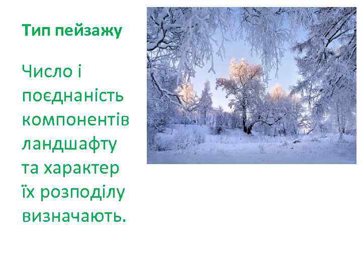 Тип пейзажу Число і поєднаність компонентів ландшафту та характер їх розподілу визначають. 