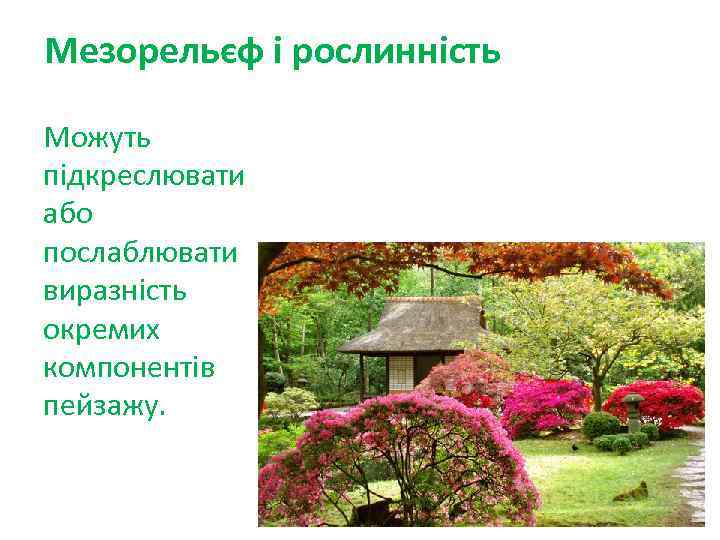 Мезорельєф і рослинність Можуть підкреслювати або послаблювати виразність окремих компонентів пейзажу. 