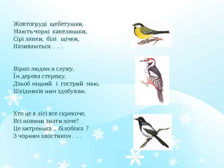 Жовтогруді щебетушки, Мають чорні капелюшки, Сірі лапки, білі щічки, Називаються. . . Вірно людям