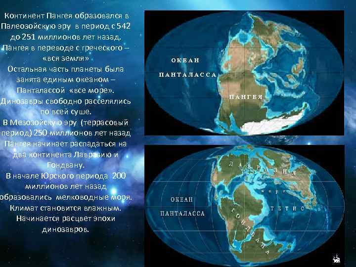 Континент Пангея образовался в Палеозойскую эру в период с 542 до 251 миллионов лет