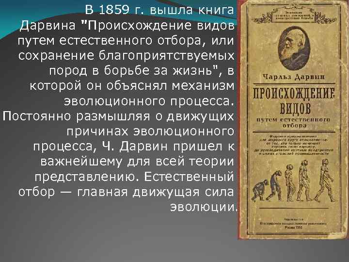В 1859 г. вышла книга Дарвина "Происхождение видов путем естественного отбора, или сохранение благоприятствуемых