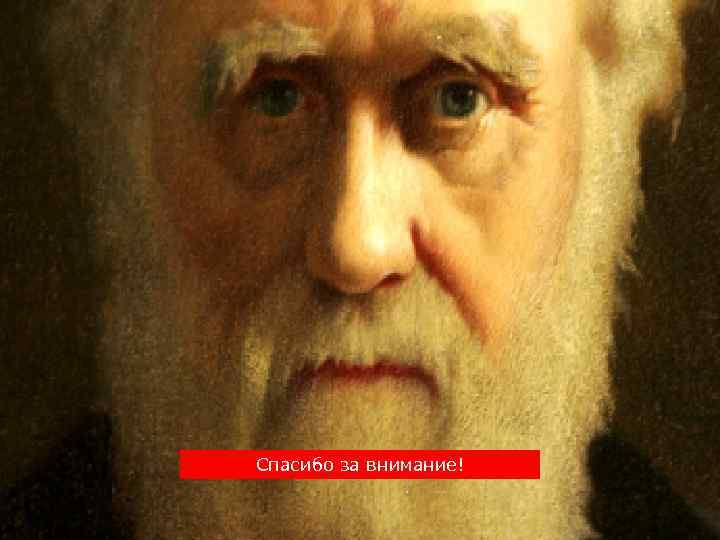 Спка Спасибо за внимание! 