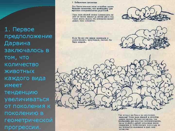 1. Первое предположение Дарвина заключалось в том, что количество животных каждого вида имеет тенденцию