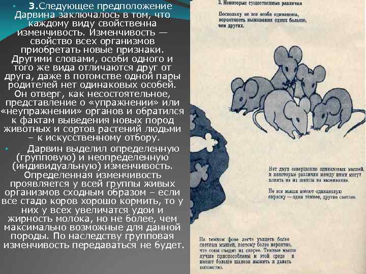  • 3. Следующее предположение Дарвина заключалось в том, что каждому виду свойственна изменчивость.