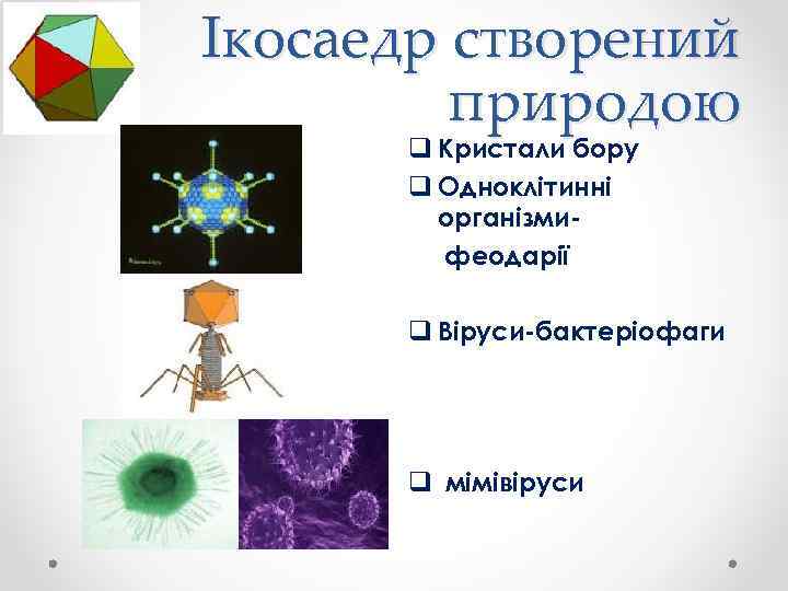 Ікосаедр створений природою q Кристали бору q Одноклітинні організмифеодарії q Віруси-бактеріофаги q мімівіруси 