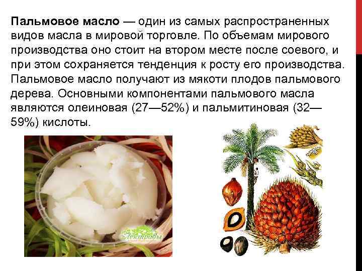 Пальмовое масло — один из самых распространенных видов масла в мировой торговле. По объемам