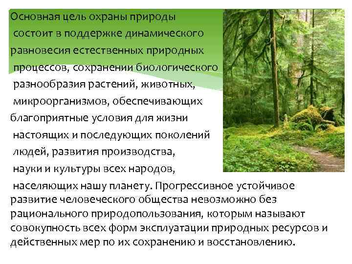 Основная цель охраны природы состоит в поддержке динамического равновесия естественных природных процессов, сохранении биологического