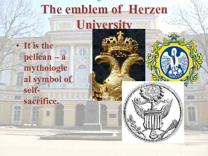 The emblem of Herzen University • It is the pelican – a mythologic al