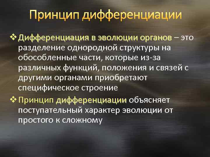 Принцип дифференциации v Дифференциация в эволюции органов – это разделение однородной структуры на обособленные