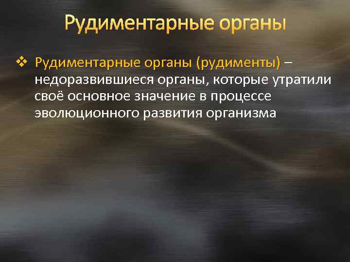 Рудиментарные органы v Рудиментарные органы (рудименты) – Рудиментарные органы (рудименты) недоразвившиеся органы, которые утратили