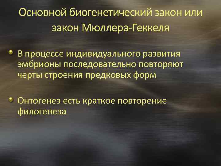 Основной биогенетический закон или закон Мюллера-Геккеля В процессе индивидуального развития эмбрионы последовательно повторяют черты