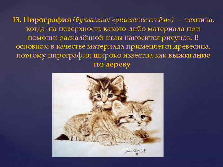 13. Пирография (буквально: «рисование огнём» ) — техника, когда на поверхность какого-либо материала при