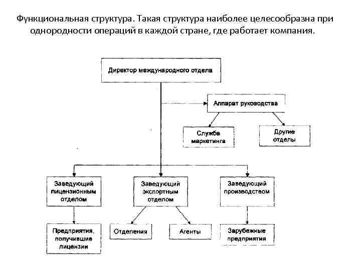 Функциональная структура. Такая структура наиболее целесообразна при однородности операций в каждой стране, где работает