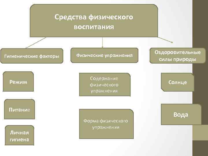 Средства физического воспитания Гигиенические факторы Режим Физические упражнения Оздоровительные силы природы Содержание физического упражнения