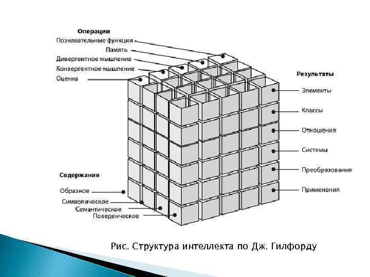 Структура интеллекта