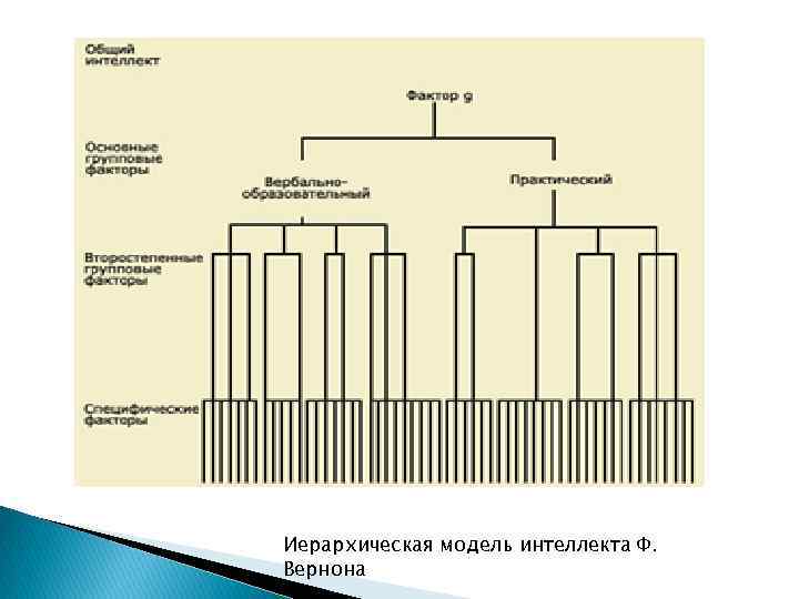 Иерархическая модель интеллекта Ф. Вернона 