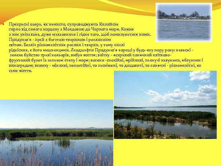  Прекрасні озера, як намисто, супроводжують Килийске гирло від самого кордону з Молдовою до