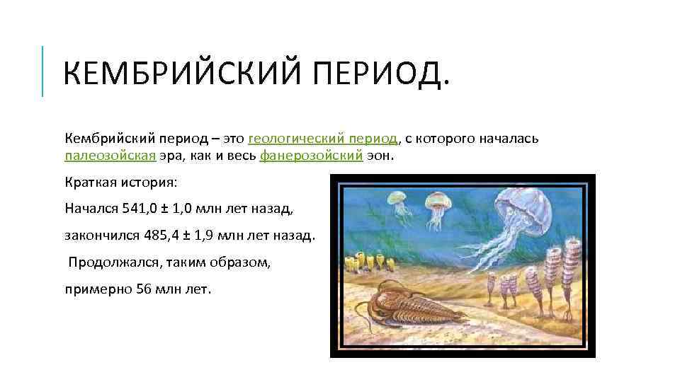 КЕМБРИЙСКИЙ ПЕРИОД. Кембрийский период – это геологический период, с которого началась палеозойская эра, как