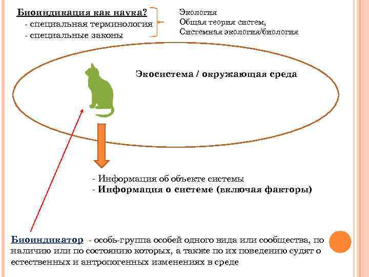 Биоиндикация как наука? - специальная терминология - специальные законы Экология Общая теория систем, Системная