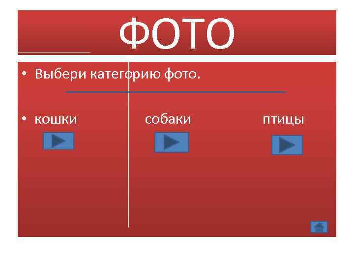 ФОТО • Выбери категорию фото. • кошки собаки птицы 