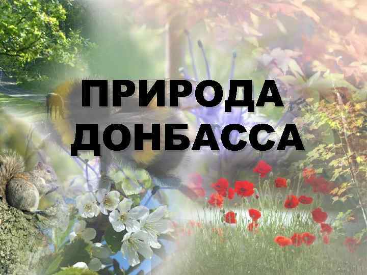 ПРИРОДА ДОНБАССА 