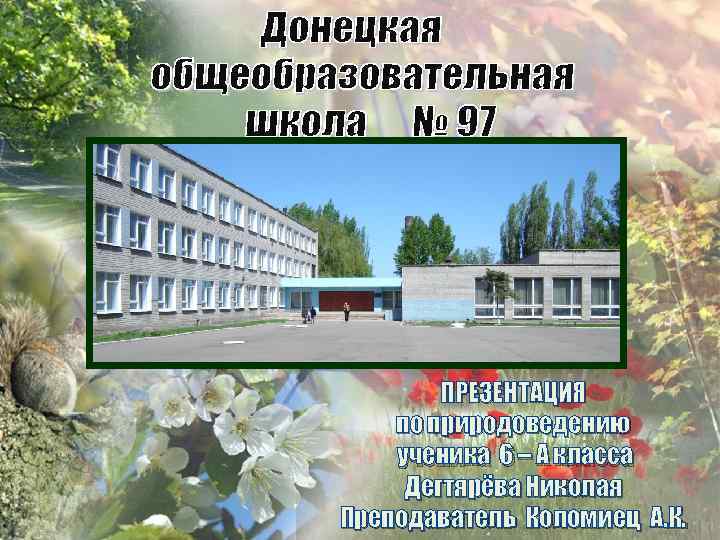 ПРЕЗЕНТАЦИЯ по природоведению ученика 6 – А класса Дегтярёва Николая Преподаватель Коломиец А. К.