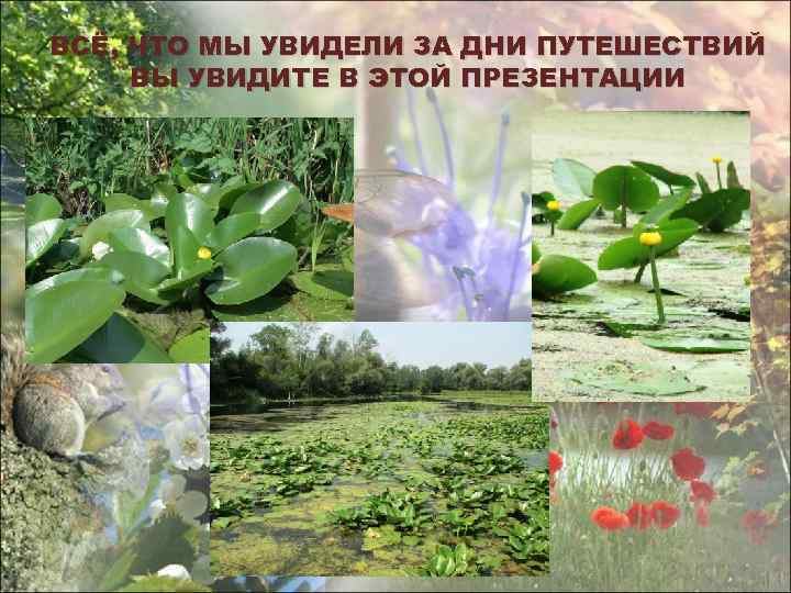 ВСЁ, ЧТО МЫ УВИДЕЛИ ЗА ДНИ ПУТЕШЕСТВИЙ ВЫ УВИДИТЕ В ЭТОЙ ПРЕЗЕНТАЦИИ 