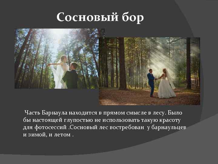 Сосновый бор Часть Барнаула находится в прямом смысле в лесу. Было бы настоящей глупостью