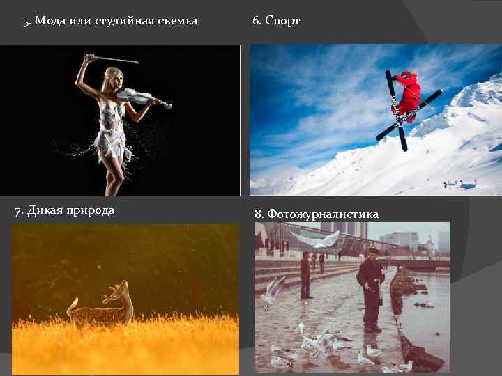 5. Мода или студийная съемка 7. Дикая природа 6. Спорт 8. Фотожурналистика 