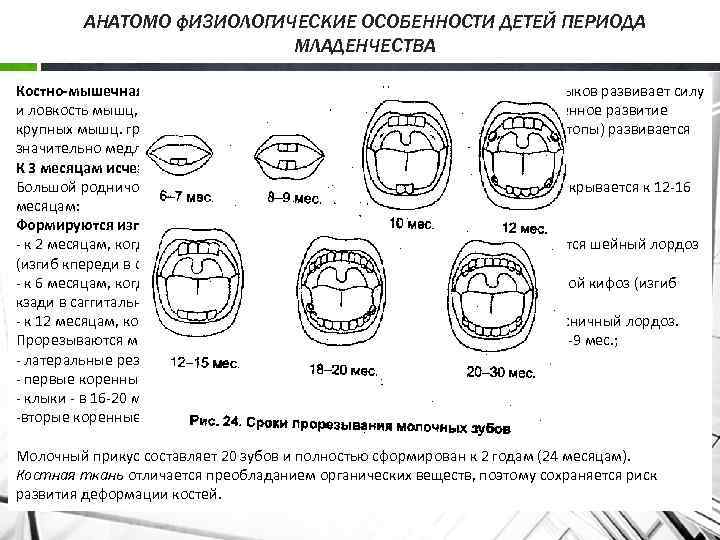 Физиологические особенности новорожденного ребенка