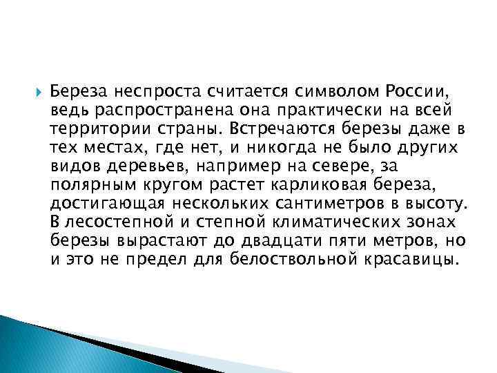  Береза неспроста считается символом России, ведь распространена она практически на всей территории страны.