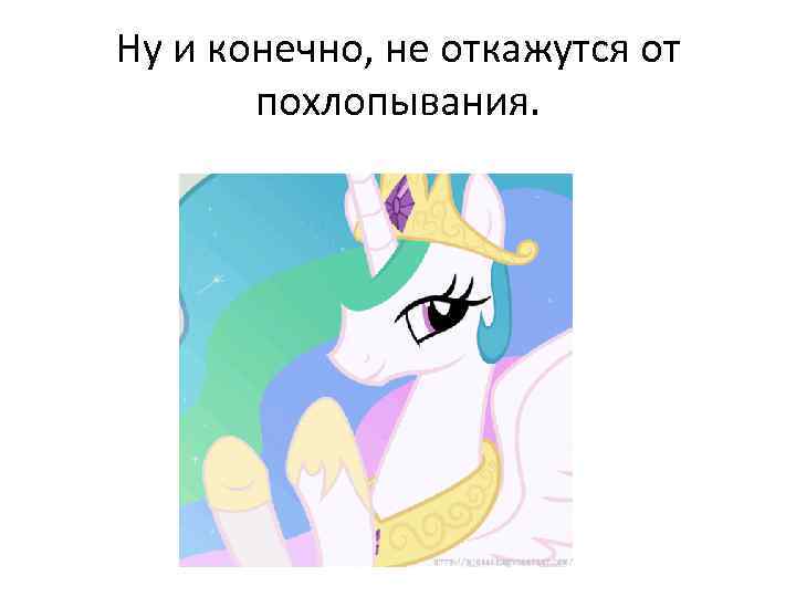 Ну и конечно, не откажутся от похлопывания. 