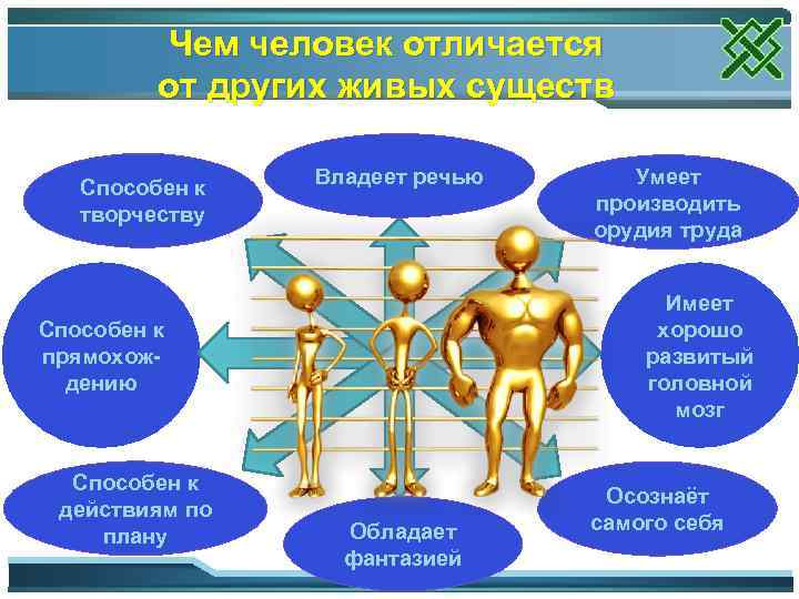 Чем человек отличается от других живых существ Способен к творчеству Владеет речью Имеет хорошо