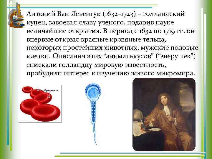 Антоний Ван Левенгук (1632– 1723) – голландский купец, завоевал славу ученого, подарив науке величайшие