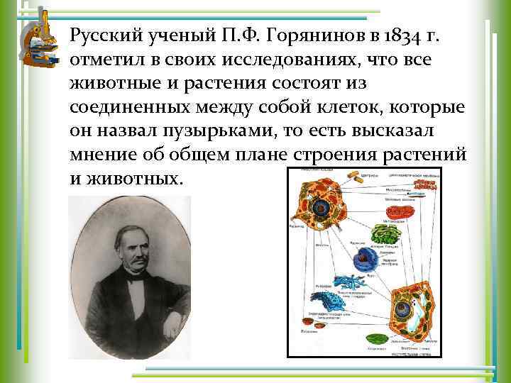 Русский ученый П. Ф. Горянинов в 1834 г. отметил в своих исследованиях, что все