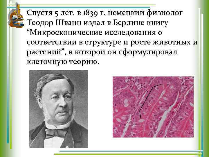 Спустя 5 лет, в 1839 г. немецкий физиолог Теодор Шванн издал в Берлине книгу