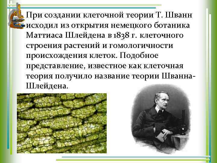 При создании клеточной теории Т. Шванн исходил из открытия немецкого ботаника Маттиаса Шлейдена в
