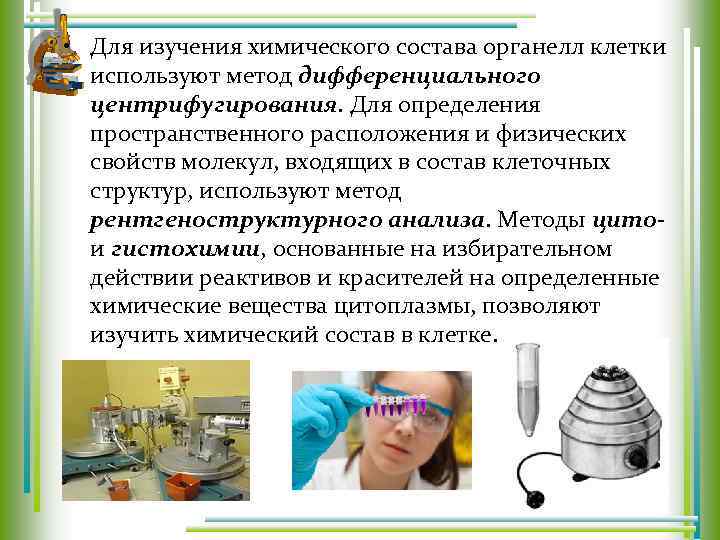  • Для изучения химического состава органелл клетки используют метод дифференциального центрифугирования. Для определения