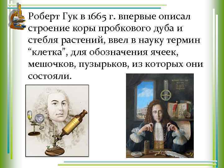 Роберт Гук в 1665 г. впервые описал строение коры пробкового дуба и стебля растений,