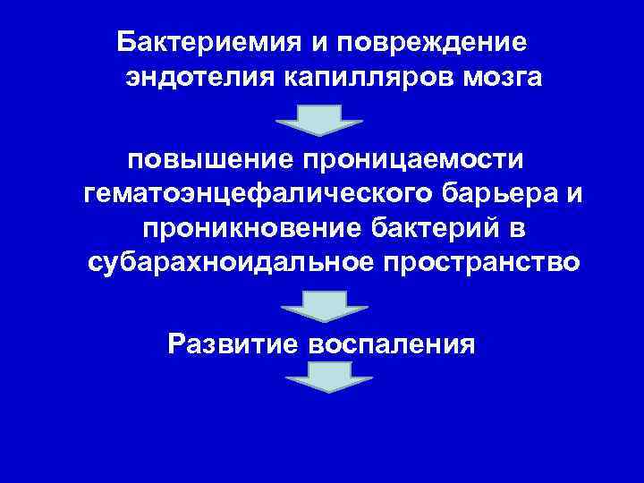 Бактериемия и повреждение эндотелия капилляров мозга повышение проницаемости гематоэнцефалического барьера и проникновение бактерий в