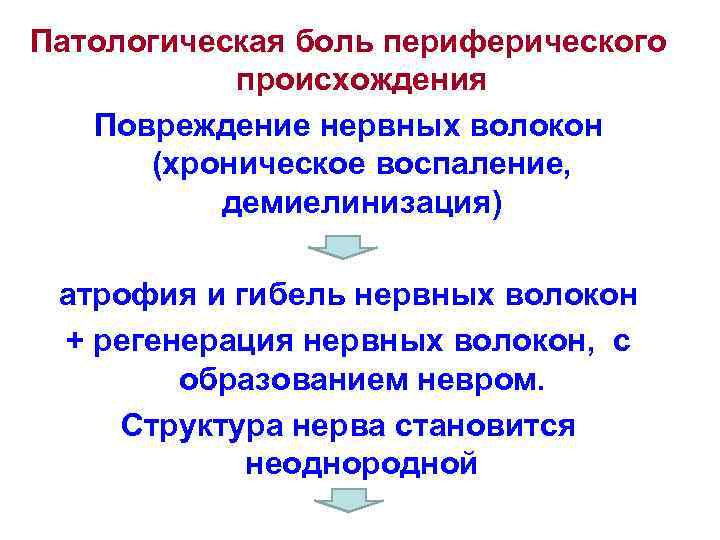 Патологическая боль периферического происхождения Повреждение нервных волокон (хроническое воспаление, демиелинизация) атрофия и гибель нервных