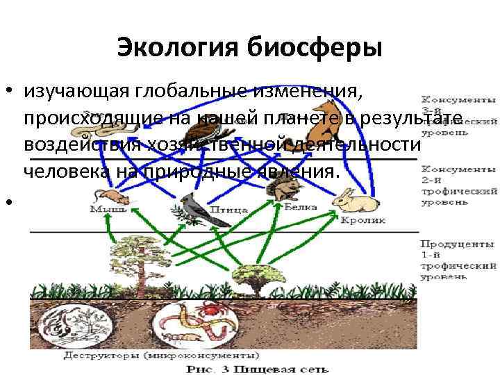 Изменения в биосфере