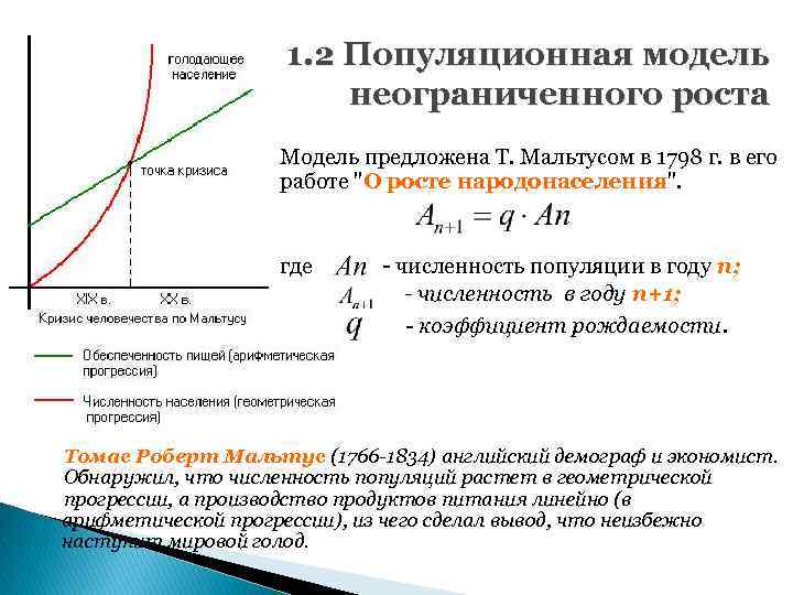 1. 2 Популяционная модель неограниченного роста Модель предложена Т. Мальтусом в 1798 г. в