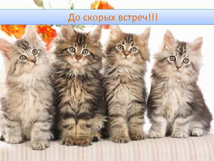 До скорых встреч!!! 