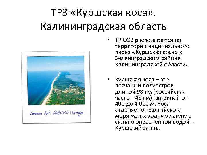 ТРЗ «Куршская коса» . Калининградская область • ТР ОЭЗ располагается на территории национального парка