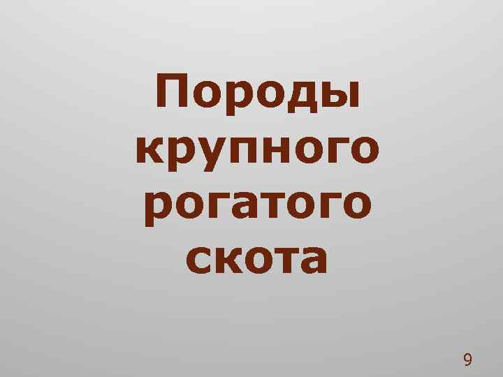 Породы крупного рогатого скота 9 