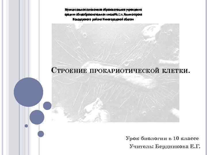 Муниципальное автономное образовательное учреждение средняя общеобразовательная школа№ 53 п. Ильиногорска Володарского района Нижегородской области