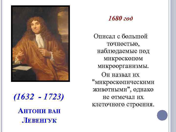 1680 год (1632 - 1723) АНТОНИ ВАН ЛЕВЕНГУК Описал с большой точностью, наблюдаемые под