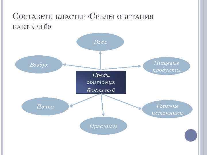 СОСТАВЬТЕ КЛАСТЕР « РЕДЫ ОБИТАНИЯ С БАКТЕРИЙ» Вода Воздух Среды обитания бактерий Пищевые продукты